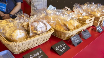 2025_RR_SANNOVOICE_STOCK_3