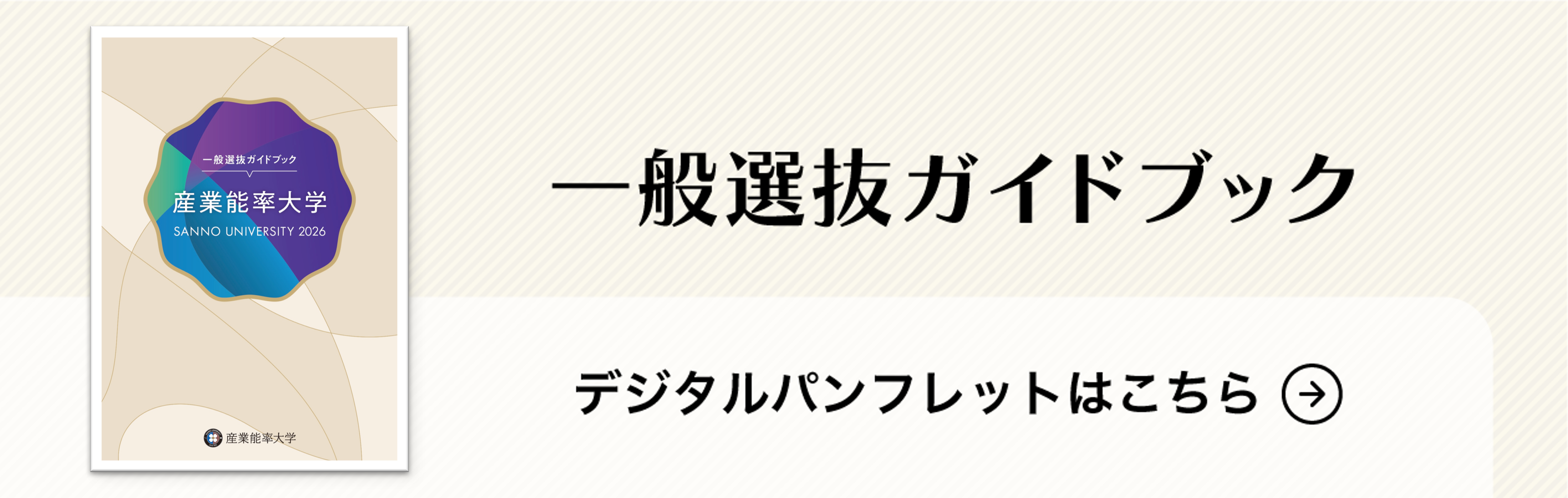 dejipan_ippanguidebook2026.png (16258)