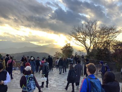 2025_RO_camel1.jpg  (9648)