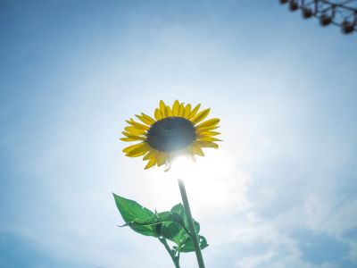 2025_RO_syasinnbu2.jpg  (9692)