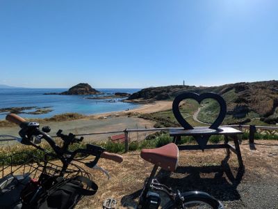 2025_RO_camel1.jpg  (9648)