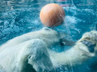 2025_RO_syasinnbu2.jpg  (9692)